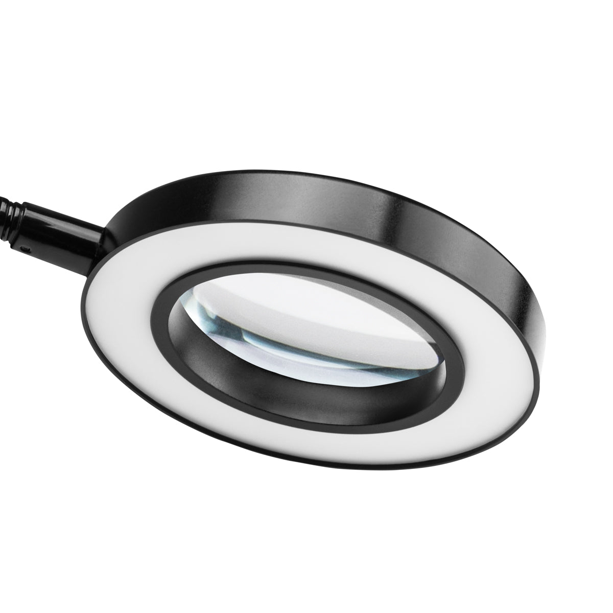 Snake Lup Ringlight til bord sort - Next Cosmeitcs