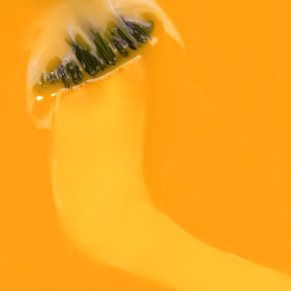 Gel lak - Laurar Pevide - Next Cosmeitcs