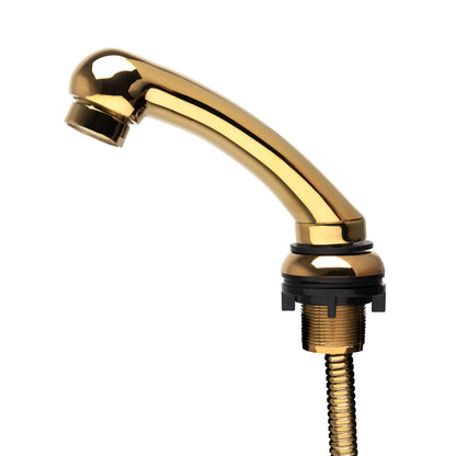 Gabbiano - shower head with hose gold
