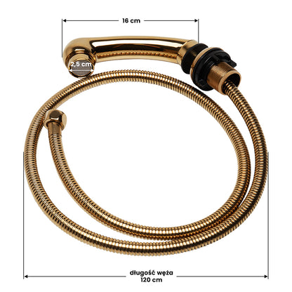 Gabbiano - shower head with hose gold